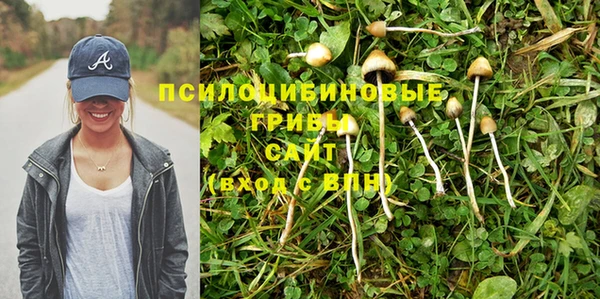 Альфа ПВП Алексеевка